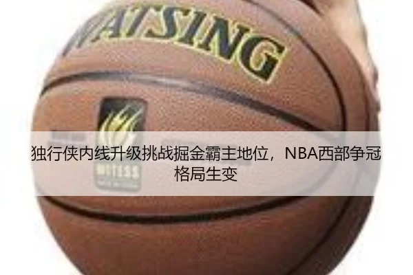 独行侠内线升级挑战掘金霸主地位，NBA西部争冠格局生变