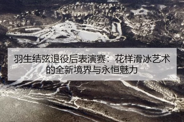 yu-sheng-jie-xian-tui-yi-hou-biao-yan-sai-hua-yang-hua-bing-yi-shu-de-quan-xin-jing-jie-yu-yong-heng-mei-li-2-946.jpg