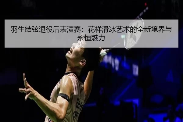 yu-sheng-jie-xian-tui-yi-hou-biao-yan-sai-hua-yang-hua-bing-yi-shu-de-quan-xin-jing-jie-yu-yong-heng-mei-li-3-397.jpg