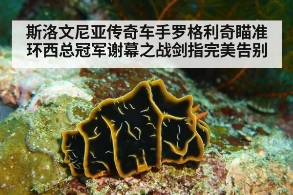 斯洛文尼亚传奇车手罗格利奇瞄准环西总冠军谢幕之战剑指完美告别